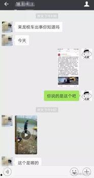 六哥爆料视频大全最新,视频大全背后的惊人真相