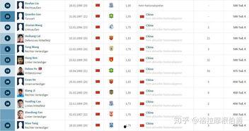 爆料中国球员名单大全最新,中国球员名单大全全解析
