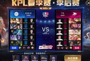 王者kpl爆料最新消息,王者职业联赛新赛季精彩看点抢先知