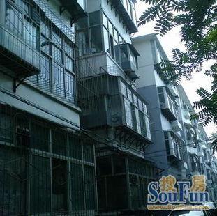 北国谈固超市最新爆料,最新爆料带你探秘超市背后的故事